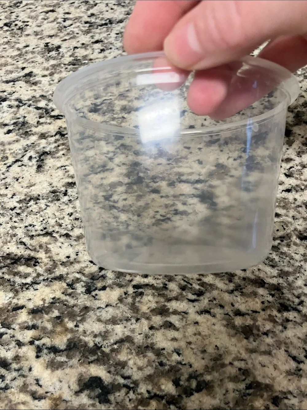 14 Gently Used Take Out Containers and 14 Gently Used Lids